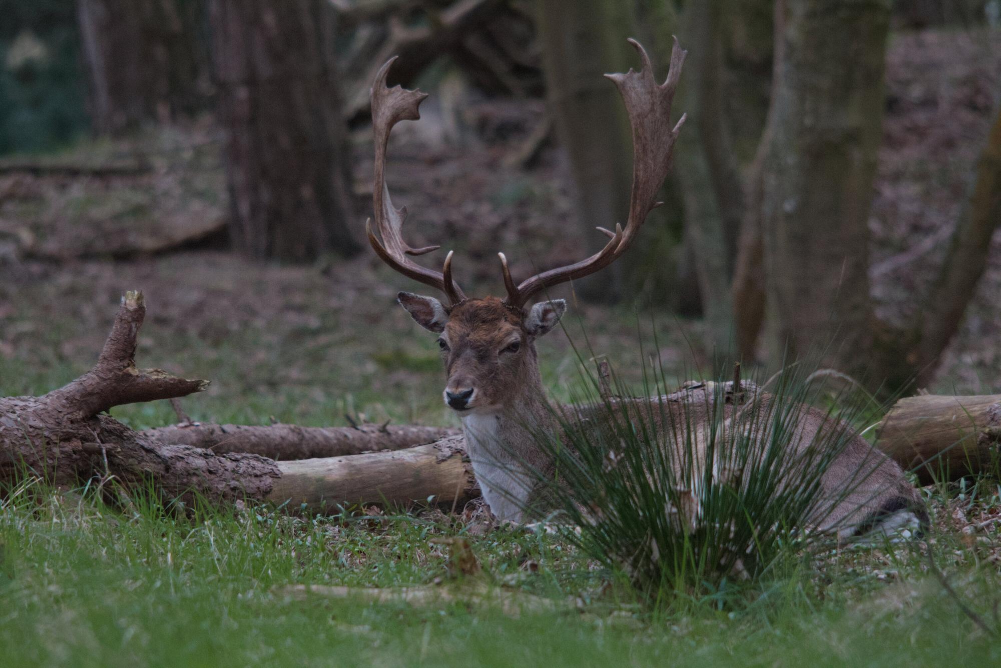 article header image