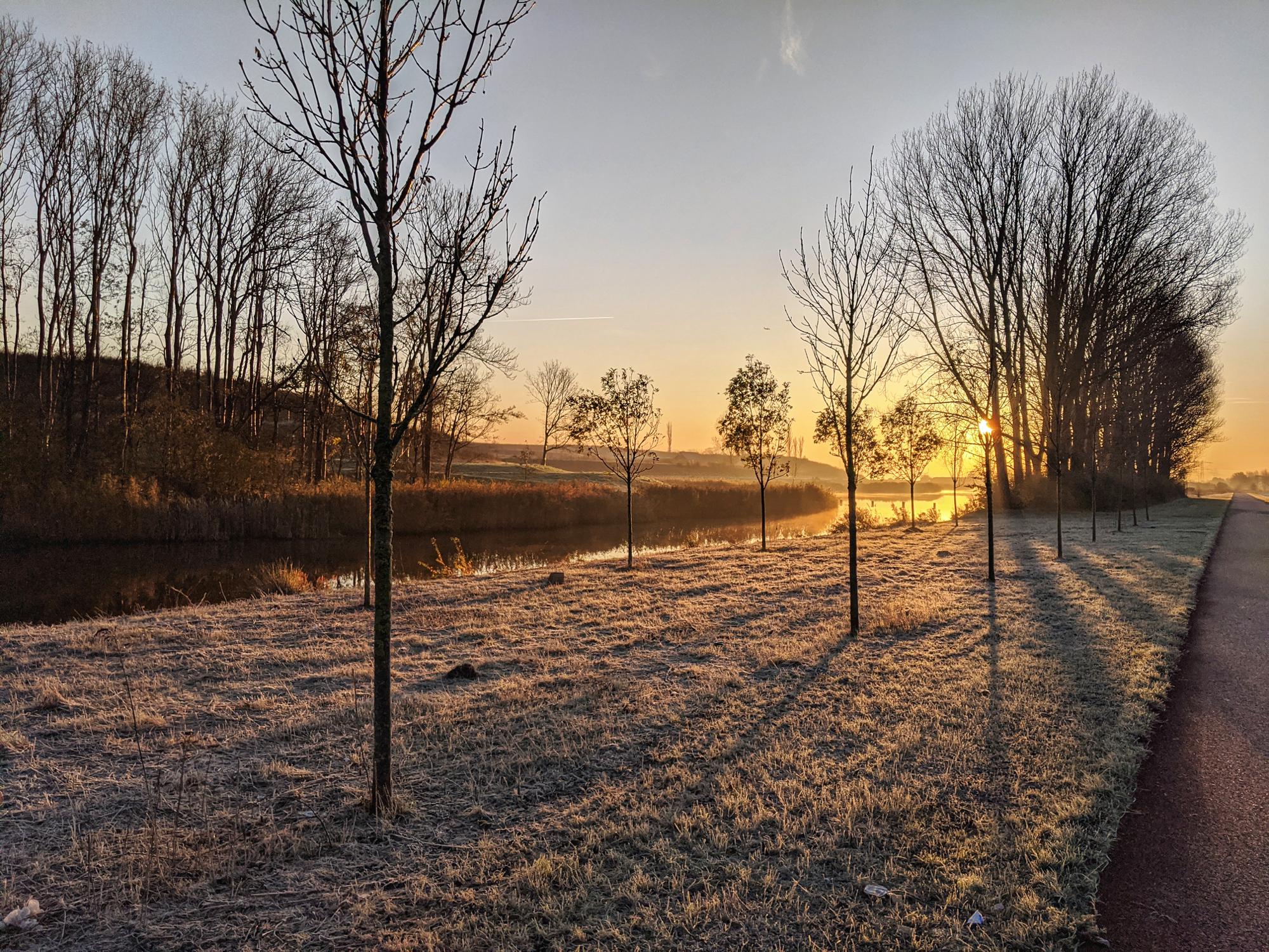 Dawn over a frozen field of grass, trees, and water next to a bicycle lane